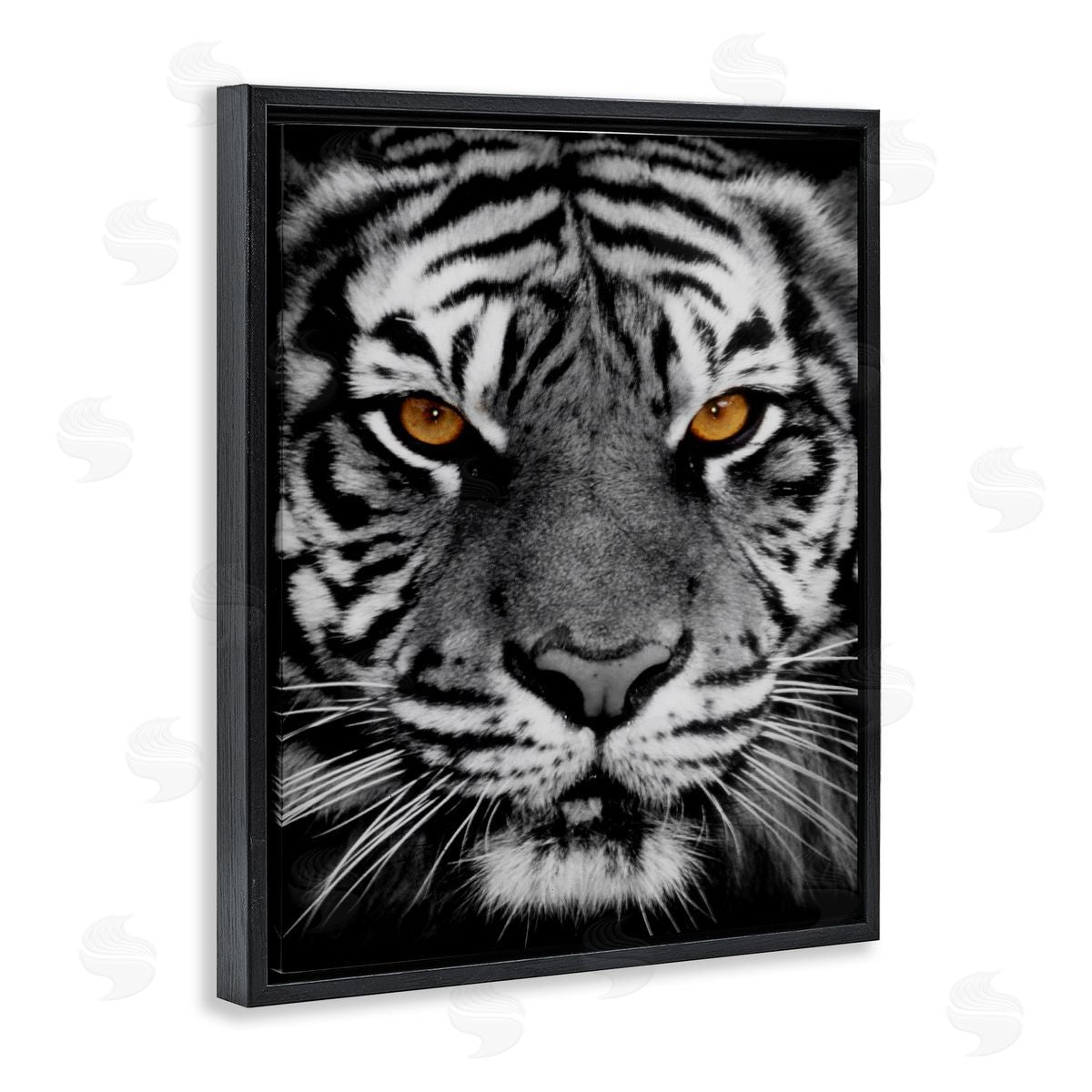 Danita Delimont Fierce Eyed Tiger Black Floating Frame Canvas Wall Art Print