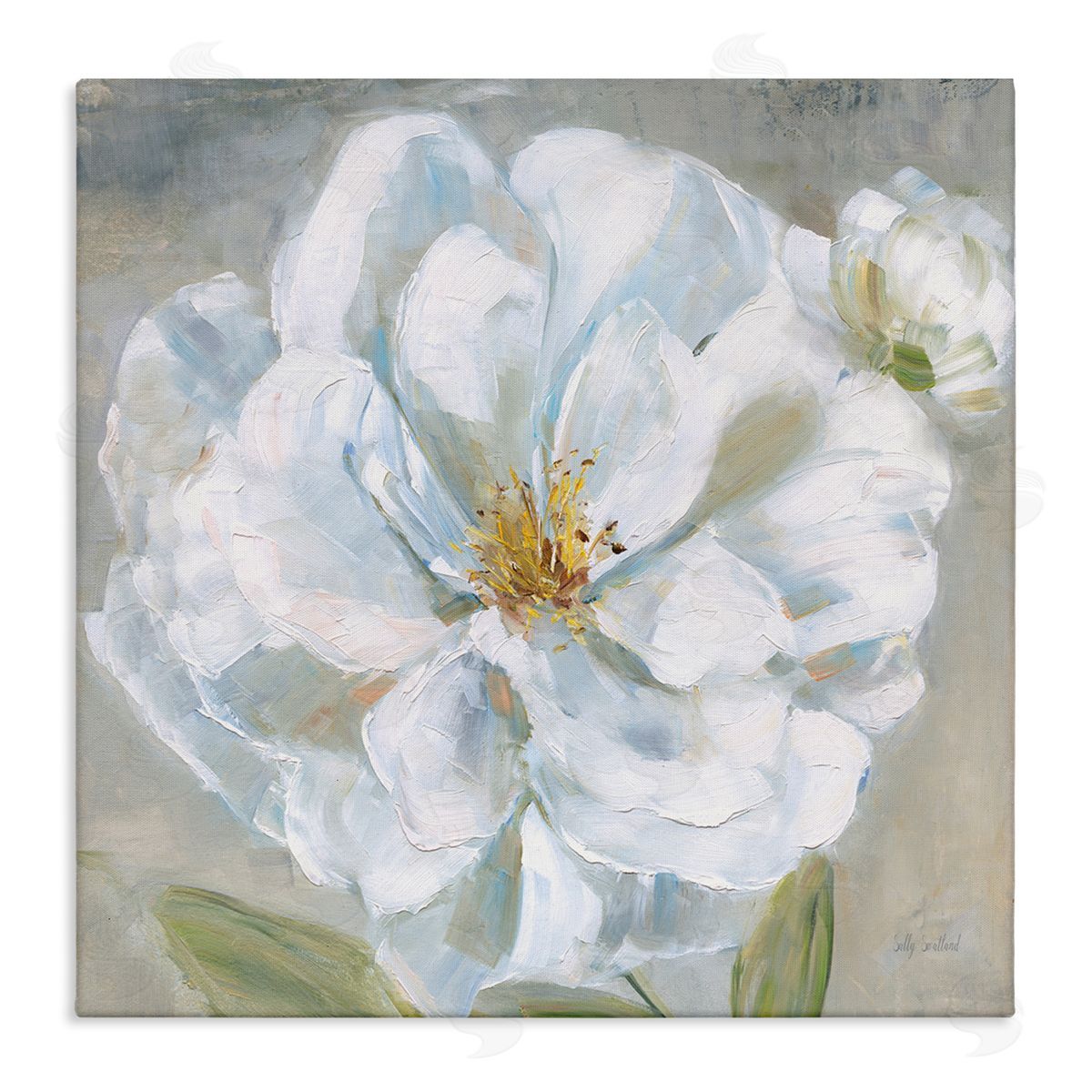Sally Swatland Curling White Flower Petals Canvas Wall Art Print