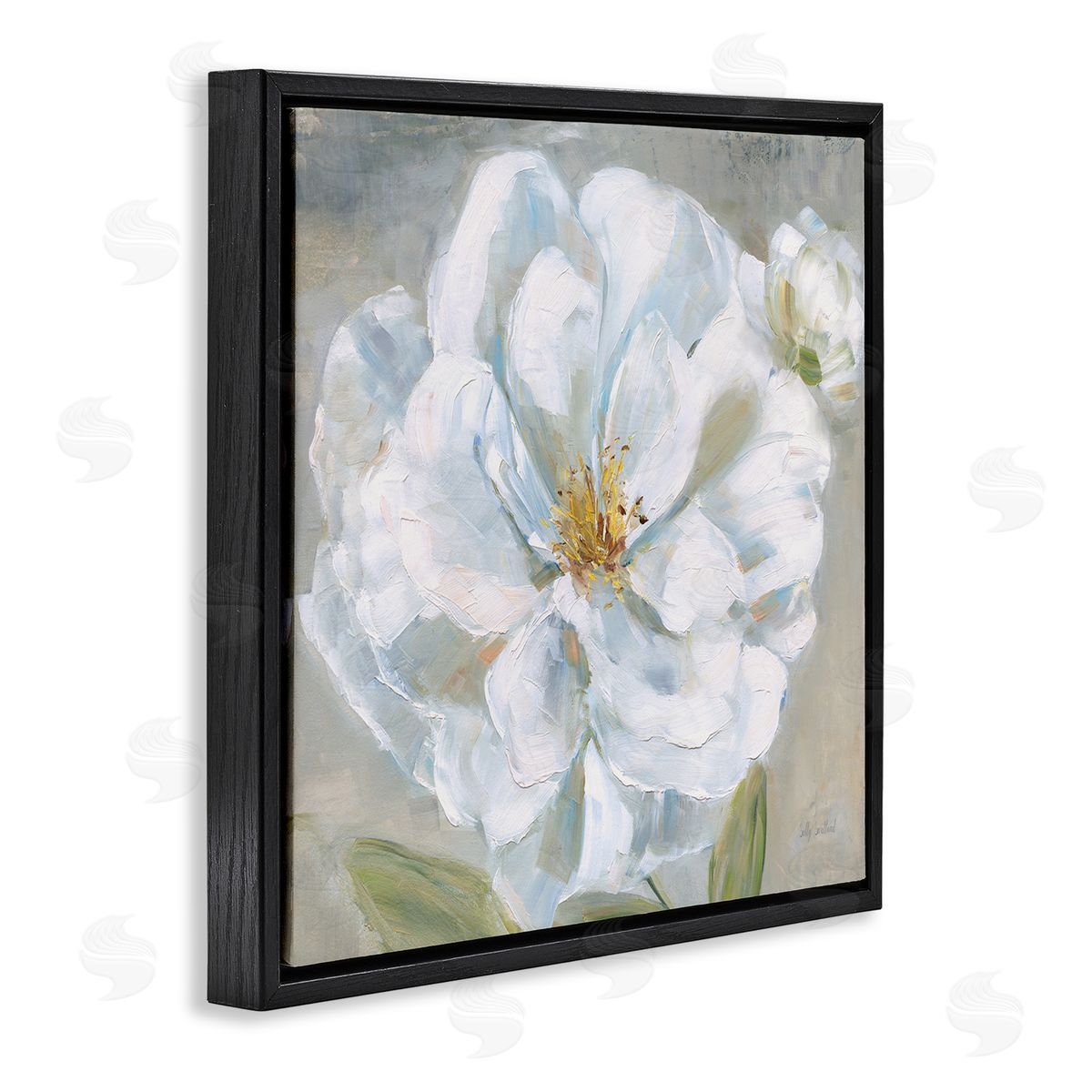 Sally Swatland Curling White Flower Petals Black Floating Frame Canvas Wall Art Print