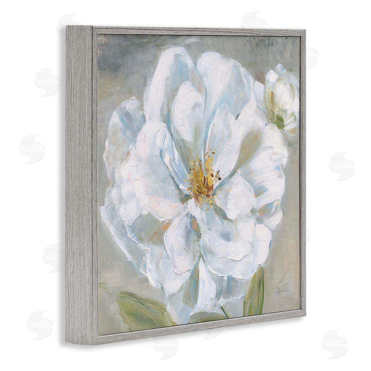 Sally Swatland Curling White Flower Petals Gray Framed Giclee Wall Art Print