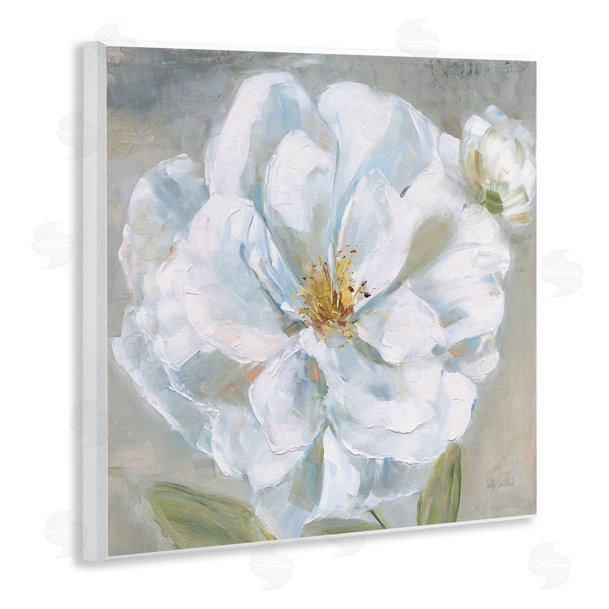 Sally Swatland Curling White Flower Petals Wooden Wall Plaque Art Print