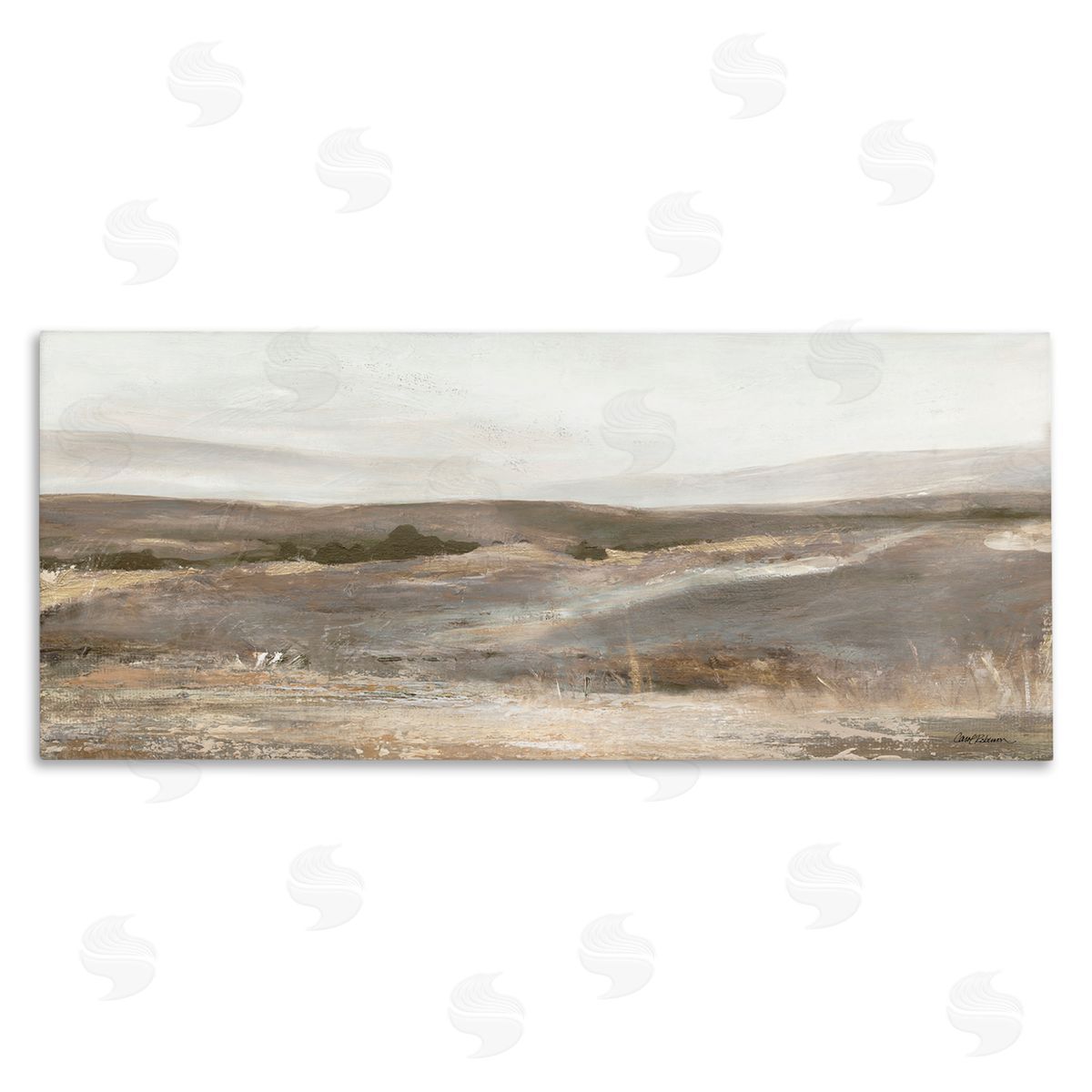 Carol Robinson Desert View Abstraction