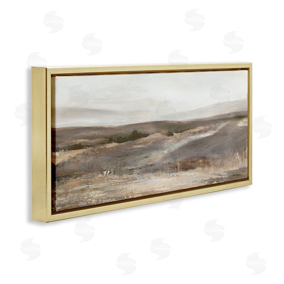 Carol Robinson Desert View Abstraction