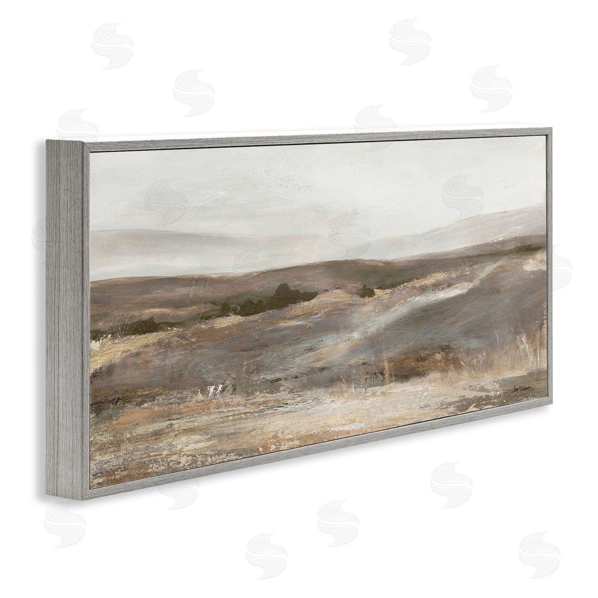 Carol Robinson Desert View Abstraction