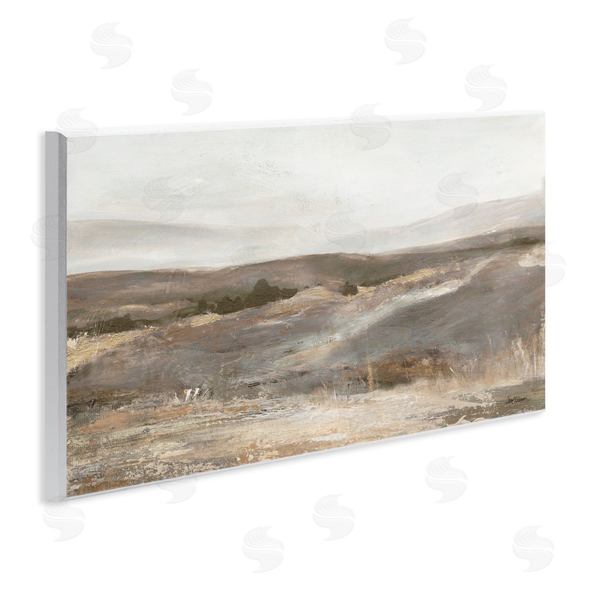 Carol Robinson Desert View Abstraction