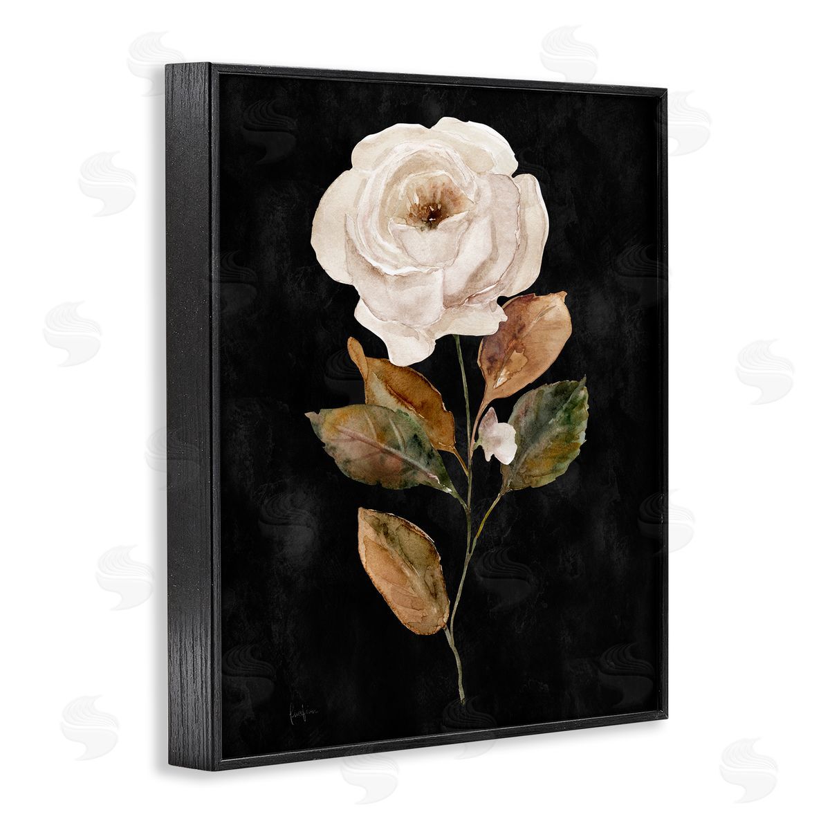 Livi Finn White Rose on Black Black Framed Giclee Wall Art Print