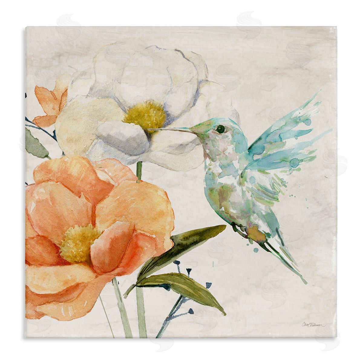 Carol Robinson Hummingbird & Flower Nectar Canvas Wall Art Print