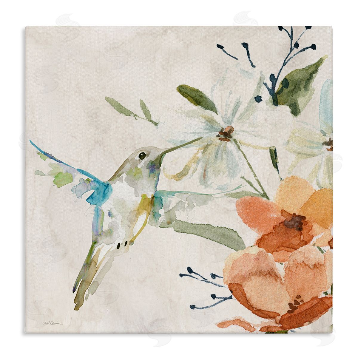 Carol Robinson Soft Florals & Hummingbird Canvas Wall Art Print