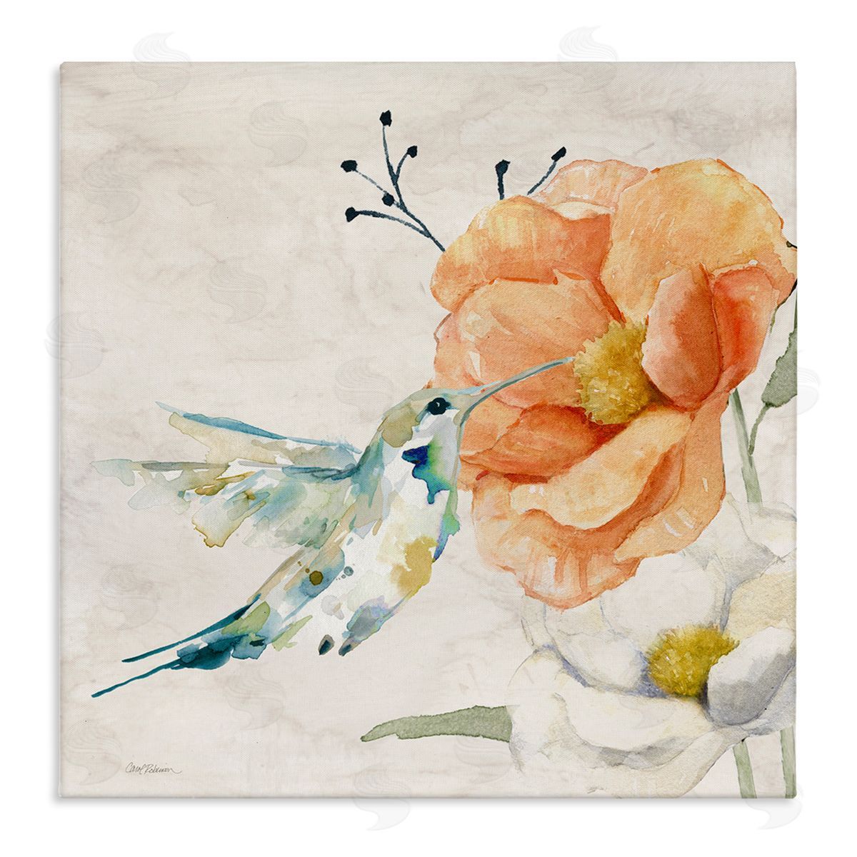 Carol Robinson Blossom & Hummingbird Canvas Wall Art Print