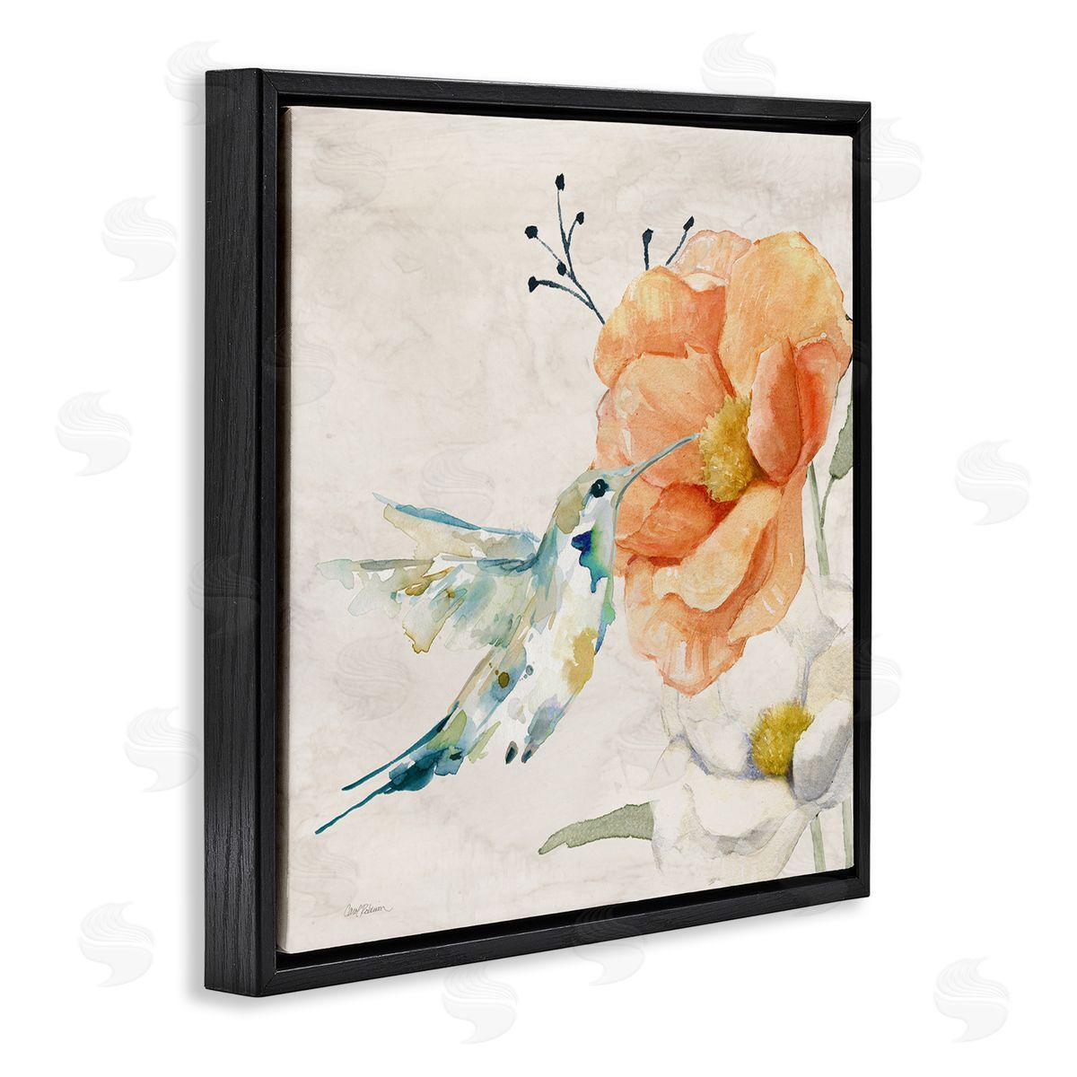 Carol Robinson Blossom & Hummingbird Black Floating Frame Canvas Wall Art Print