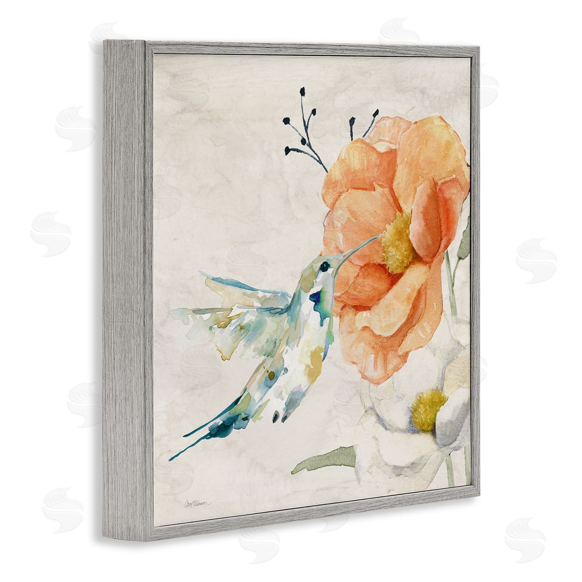 Carol Robinson Blossom & Hummingbird Gray Framed Giclee Wall Art Print
