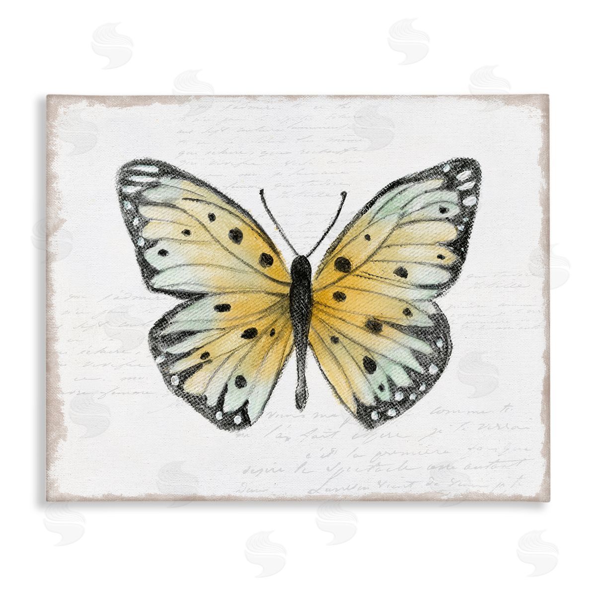 Janet Tava Beautiful Butterfly on White Canvas Wall Art Print