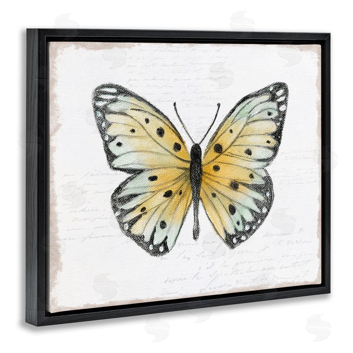 Janet Tava Beautiful Butterfly on White Black Floating Frame Canvas Wall Art Print