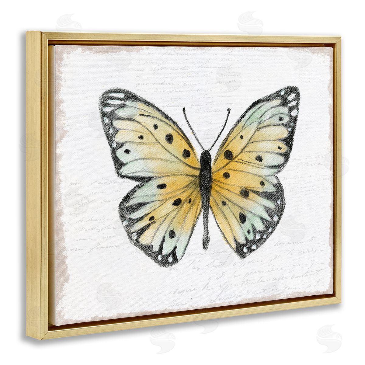 Janet Tava Beautiful Butterfly on White Gold Floating Frame Canvas Wall Art Print