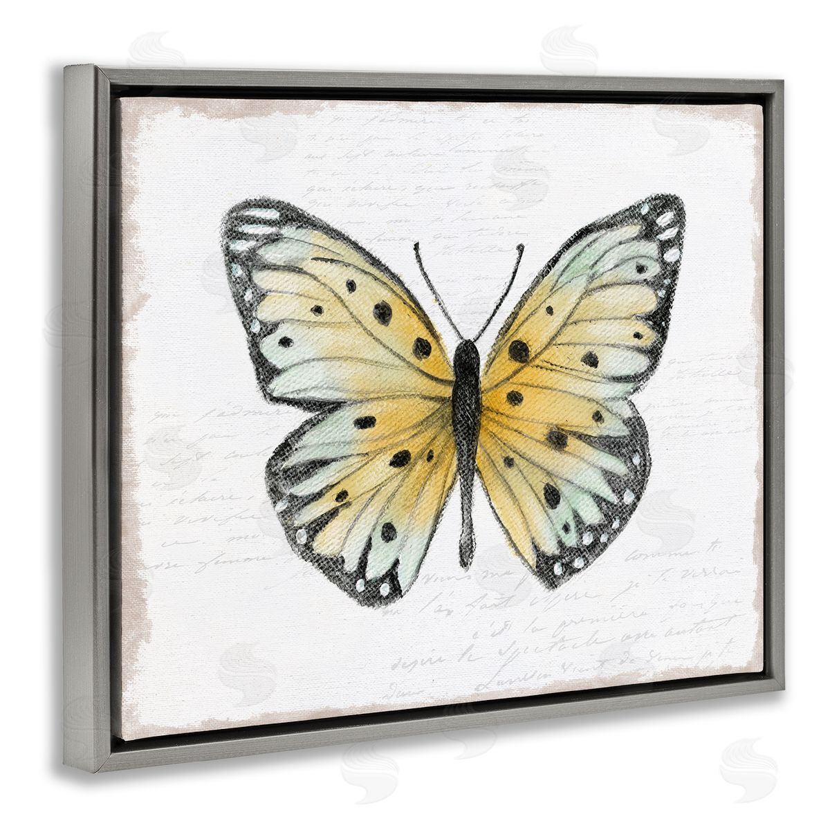 Janet Tava Beautiful Butterfly on White Gray Floating Frame Canvas Wall Art Print