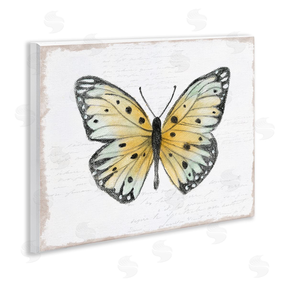 Janet Tava Beautiful Butterfly on White Wooden Wall Plaque Art Print
