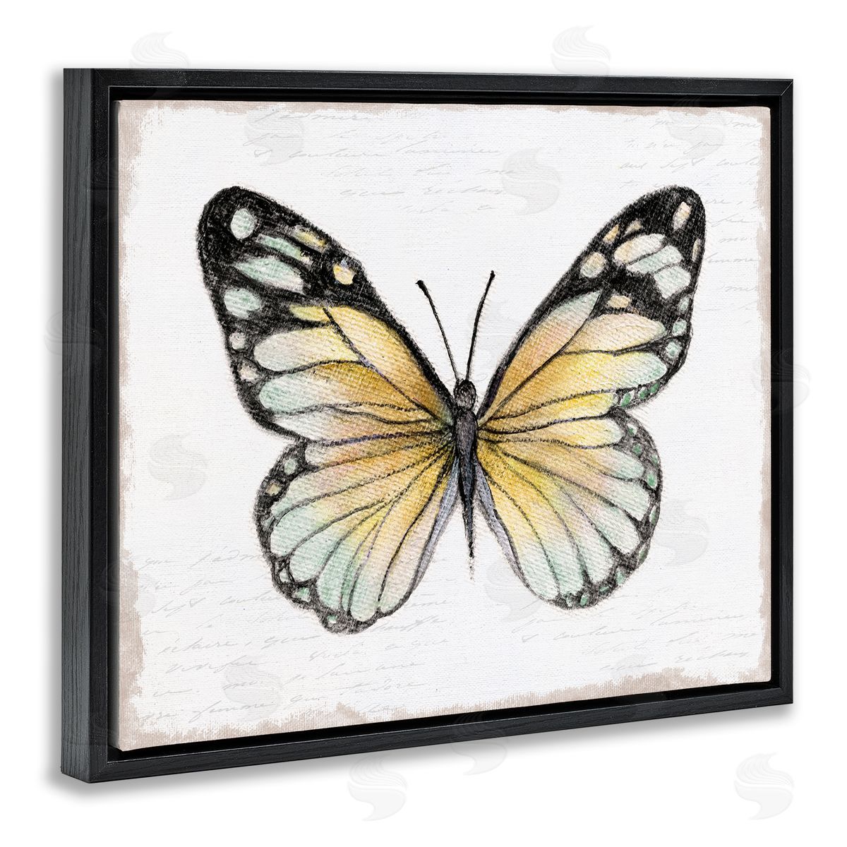 Janet Tava Country Butterfly on White Black Floating Frame Canvas Wall Art Print