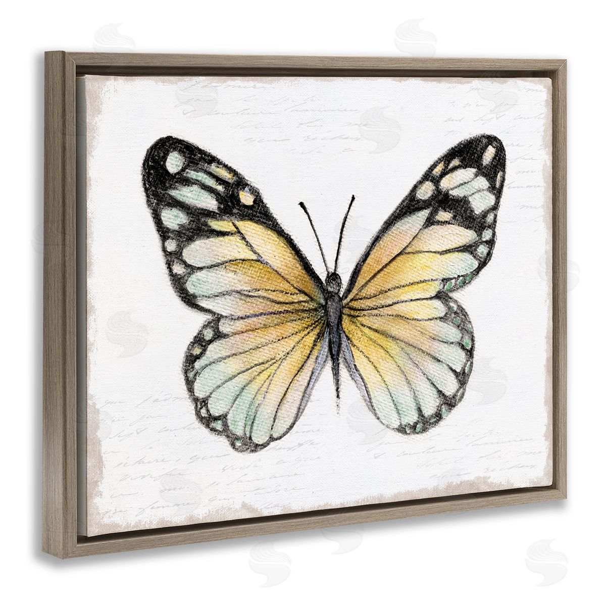Janet Tava Country Butterfly on White Brown Floating Frame Canvas Wall Art Print