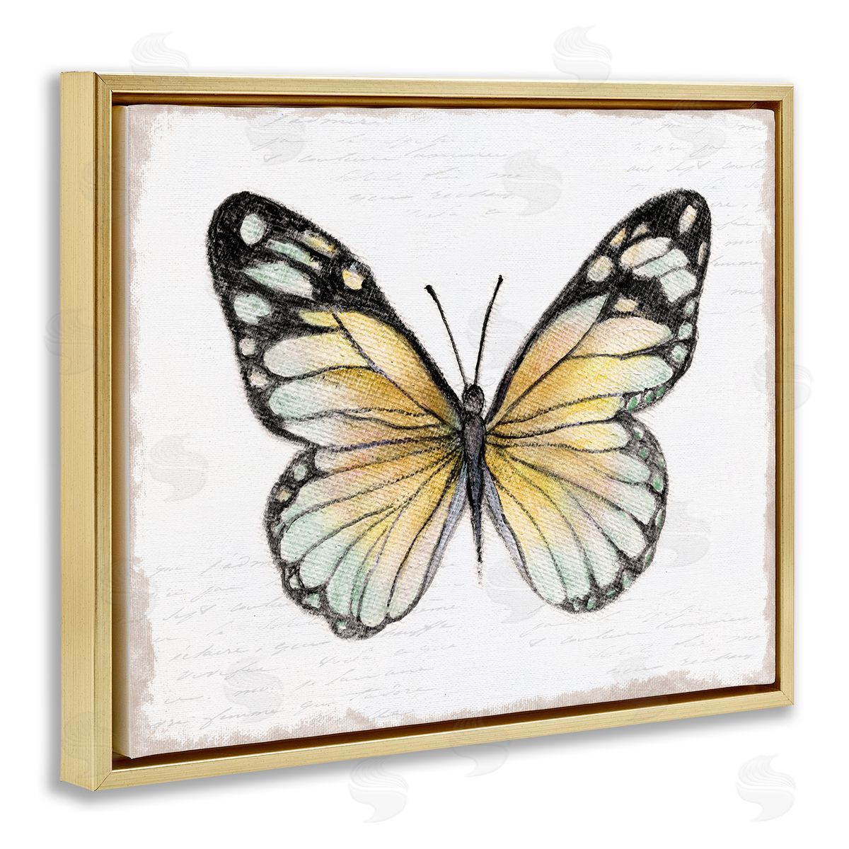 Janet Tava Country Butterfly on White Gold Floating Frame Canvas Wall Art Print