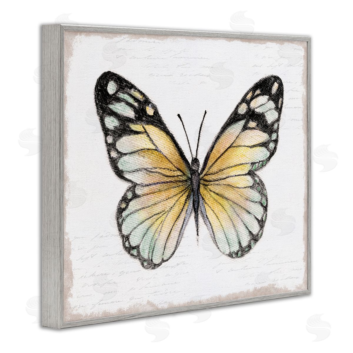 Janet Tava Country Butterfly on White Gray Framed Giclee Wall Art Print