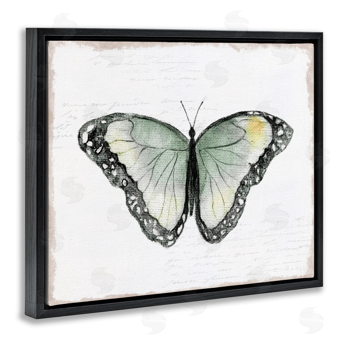 Janet Tava Simple Butterfly Visage Black Floating Frame Canvas Wall Art Print