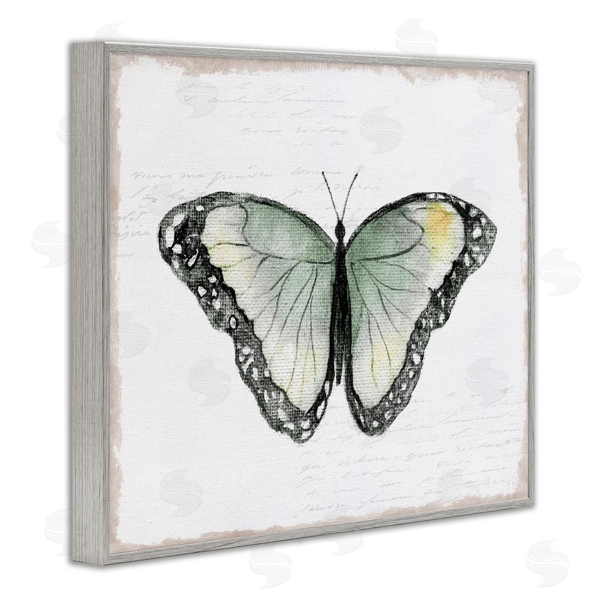 Janet Tava Simple Butterfly Visage Gray Framed Giclee Wall Art Print