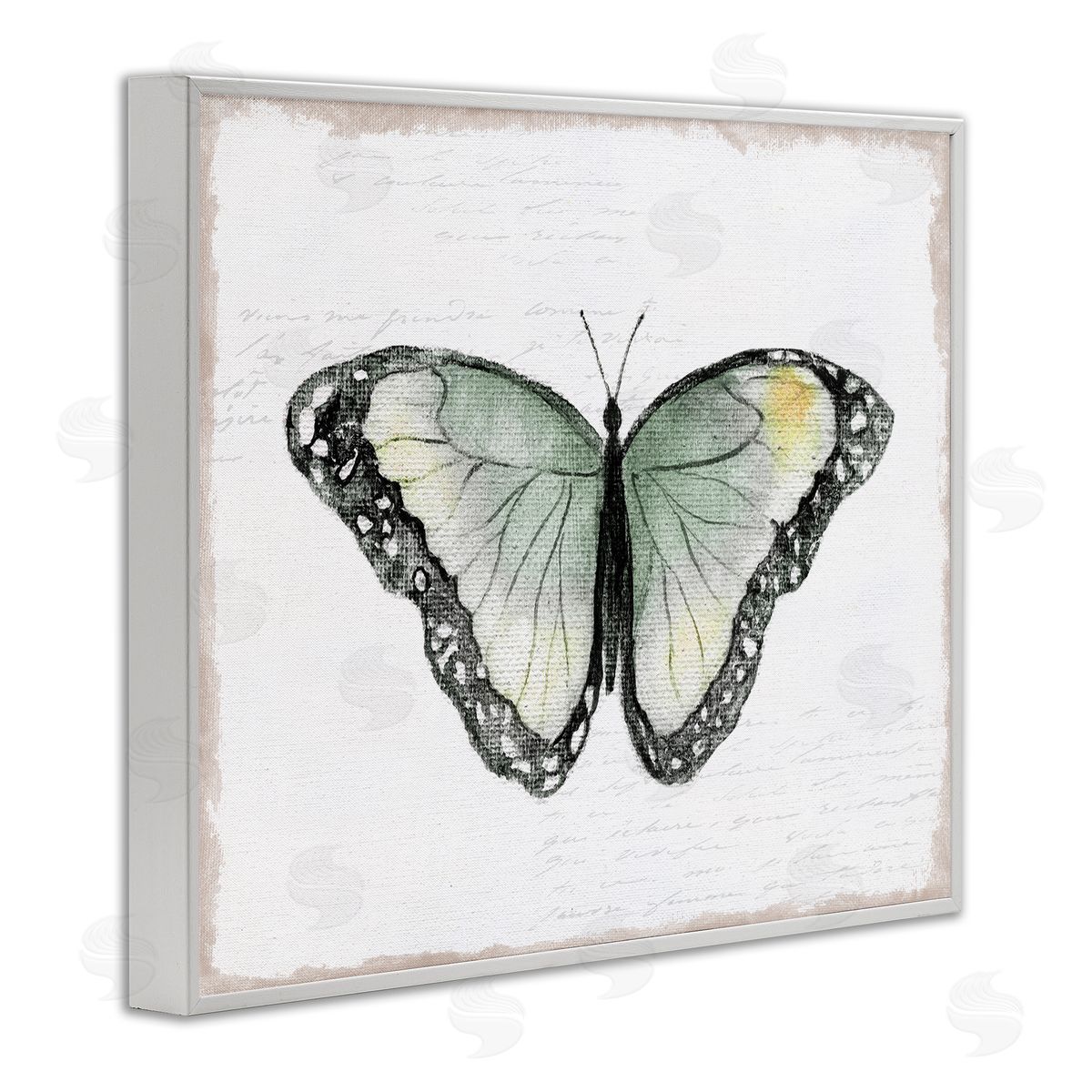 Janet Tava Simple Butterfly Visage White Framed Giclee Wall Art Print