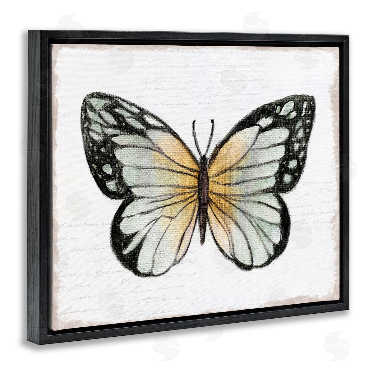 Janet Tava Monarch Butterfly Visage Black Floating Frame Canvas Wall Art Print