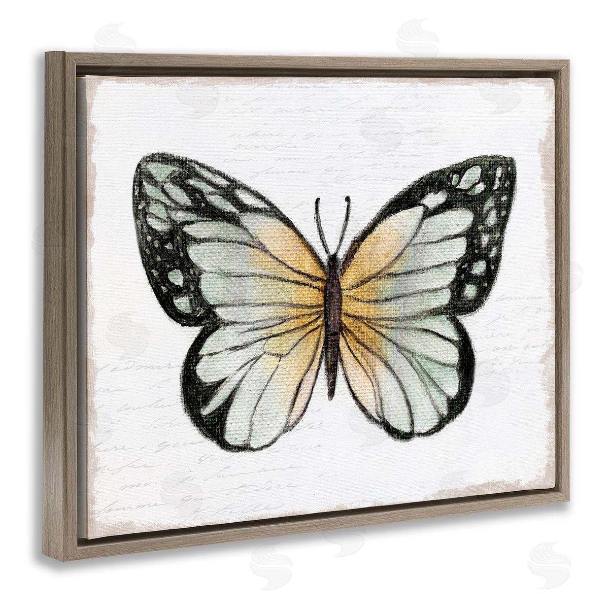 Janet Tava Monarch Butterfly Visage Brown Floating Frame Canvas Wall Art Print