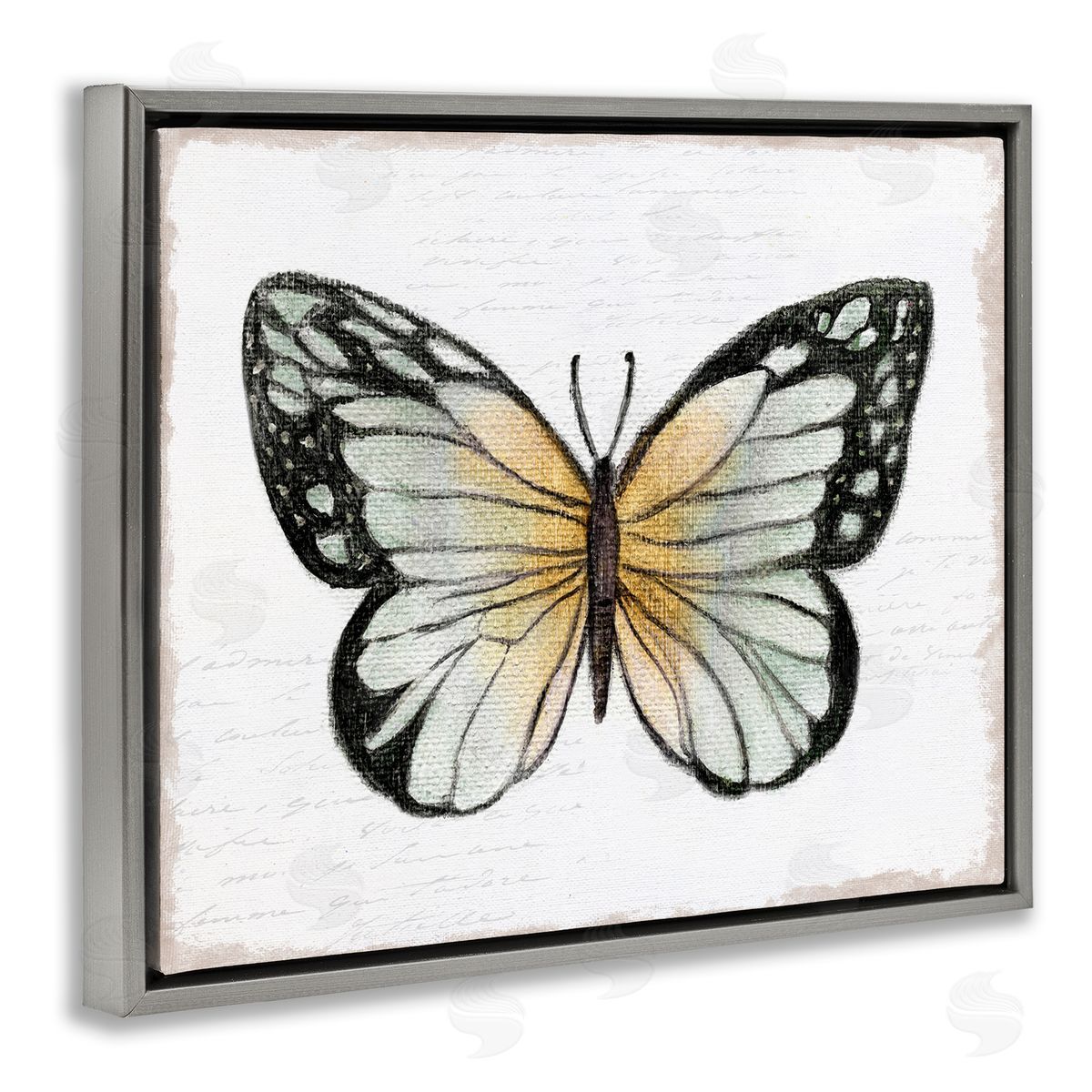 Janet Tava Monarch Butterfly Visage Gray Floating Frame Canvas Wall Art Print