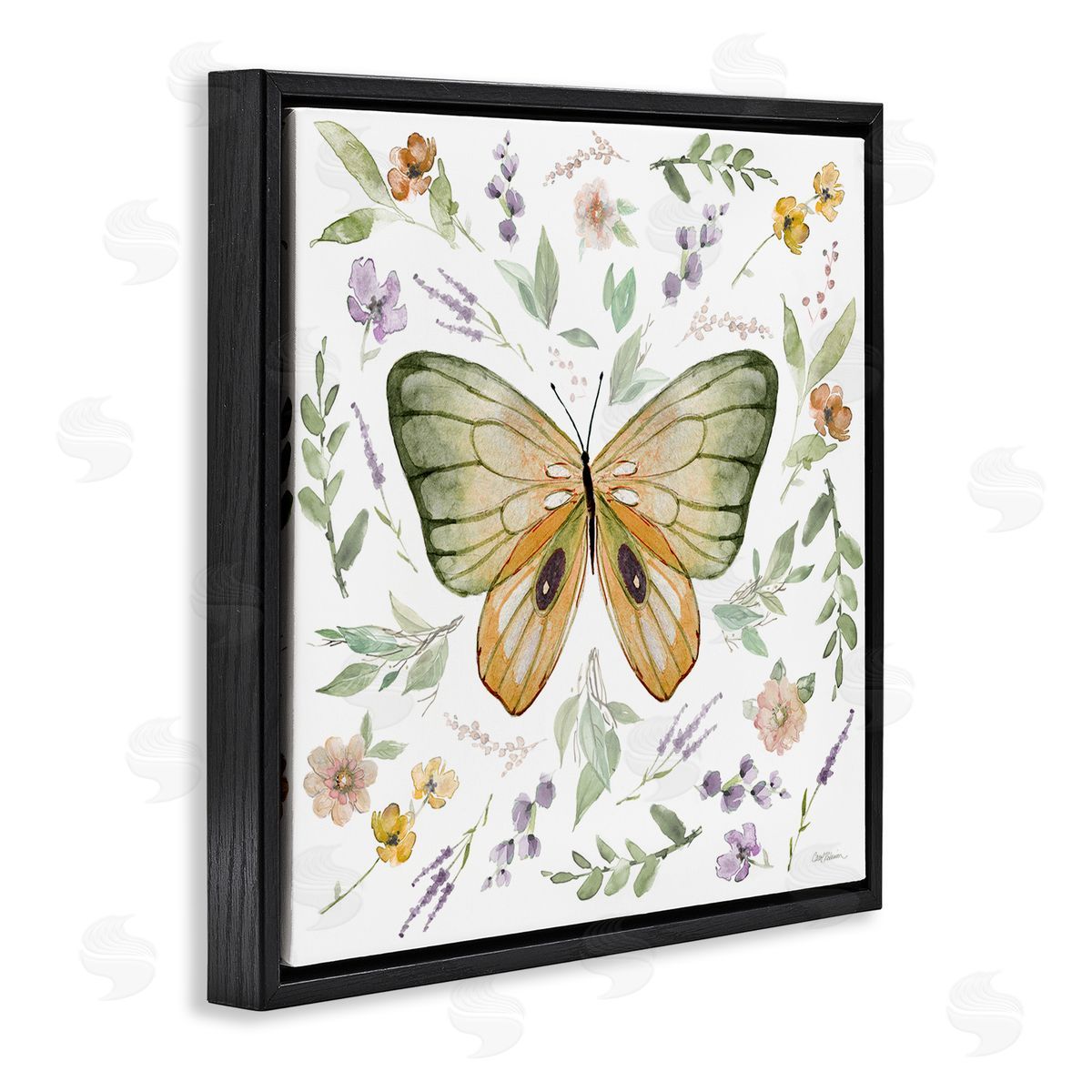Carol Robinson Cottage Butterfly Botanicals Black Floating Frame Canvas Wall Art Print