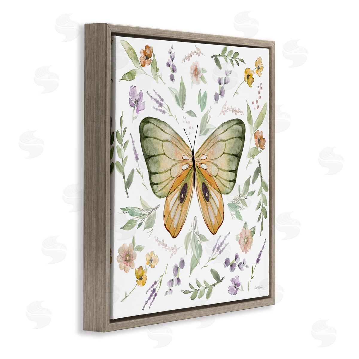 Carol Robinson Cottage Butterfly Botanicals Brown Floating Frame Canvas Wall Art Print