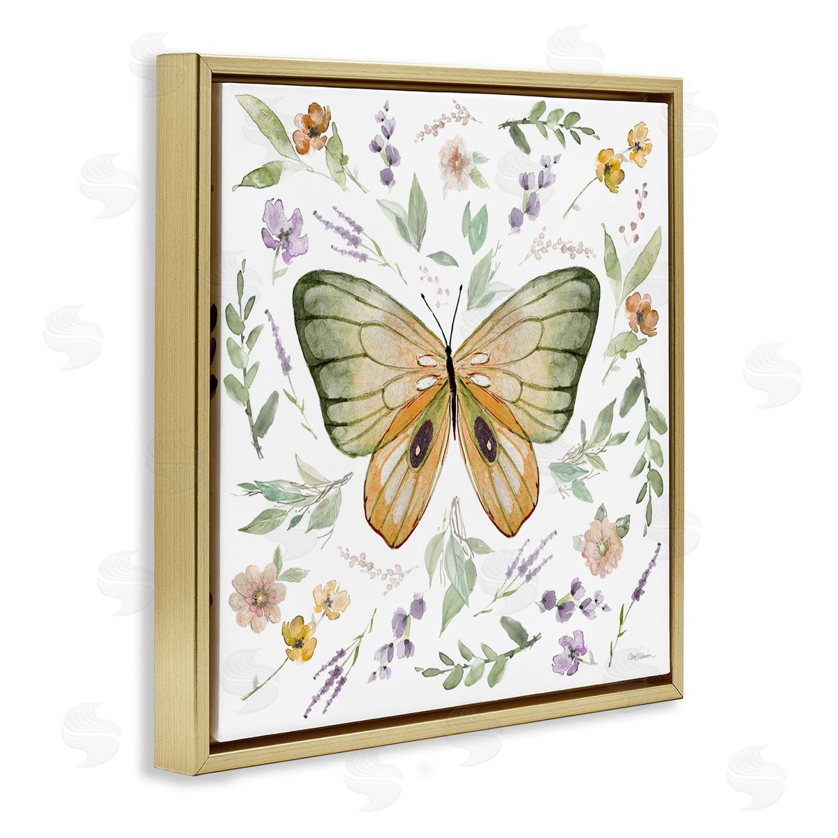 Carol Robinson Cottage Butterfly Botanicals Gold Floating Frame Canvas Wall Art Print