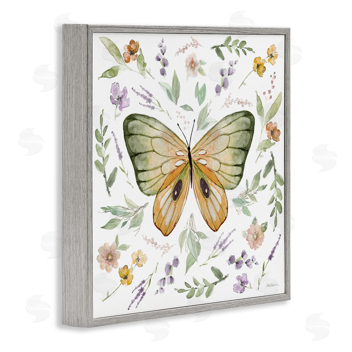 Carol Robinson Cottage Butterfly Botanicals Gray Framed Giclee Wall Art Print