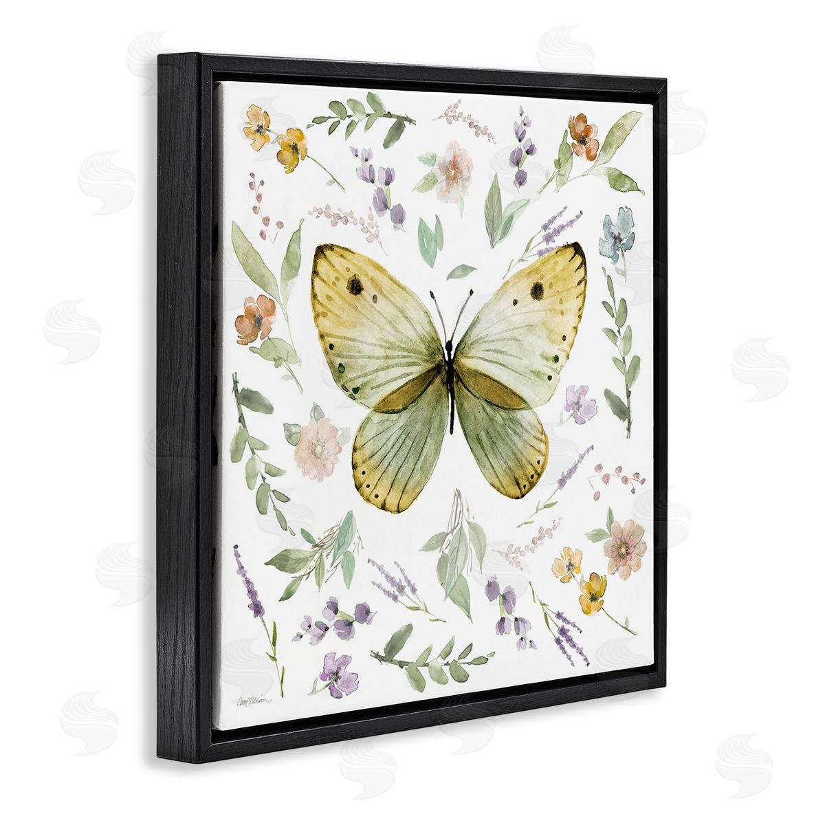 Carol Robinson Chic Cottage Butterfly Black Floating Frame Canvas Wall Art Print