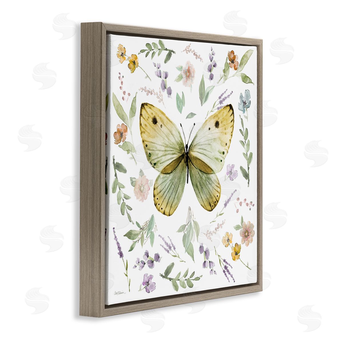 Carol Robinson Chic Cottage Butterfly Brown Floating Frame Canvas Wall Art Print