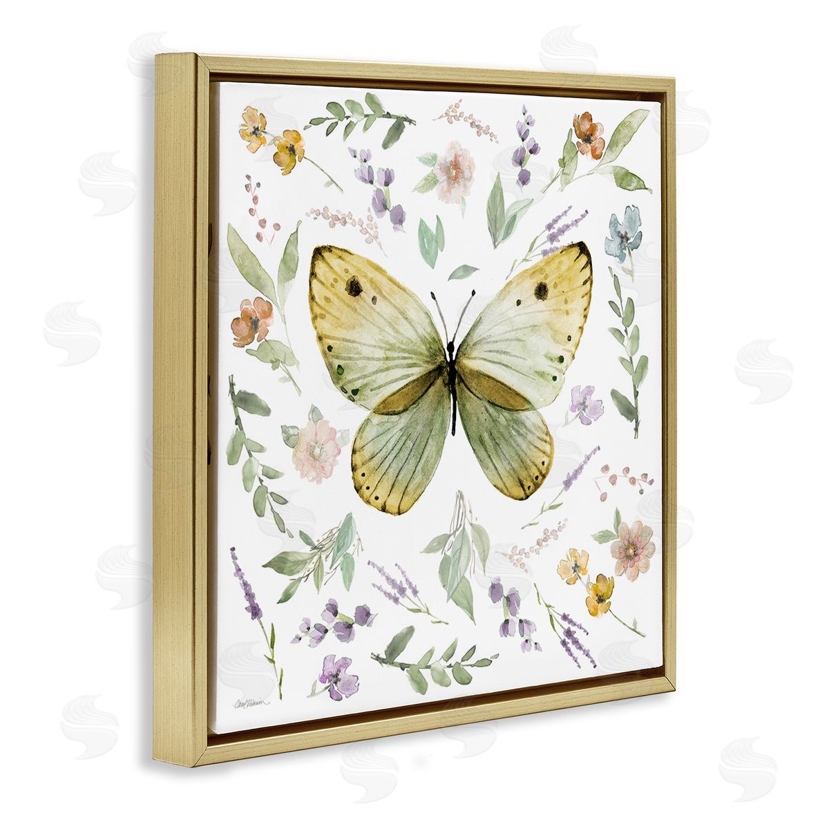 Carol Robinson Chic Cottage Butterfly Gold Floating Frame Canvas Wall Art Print