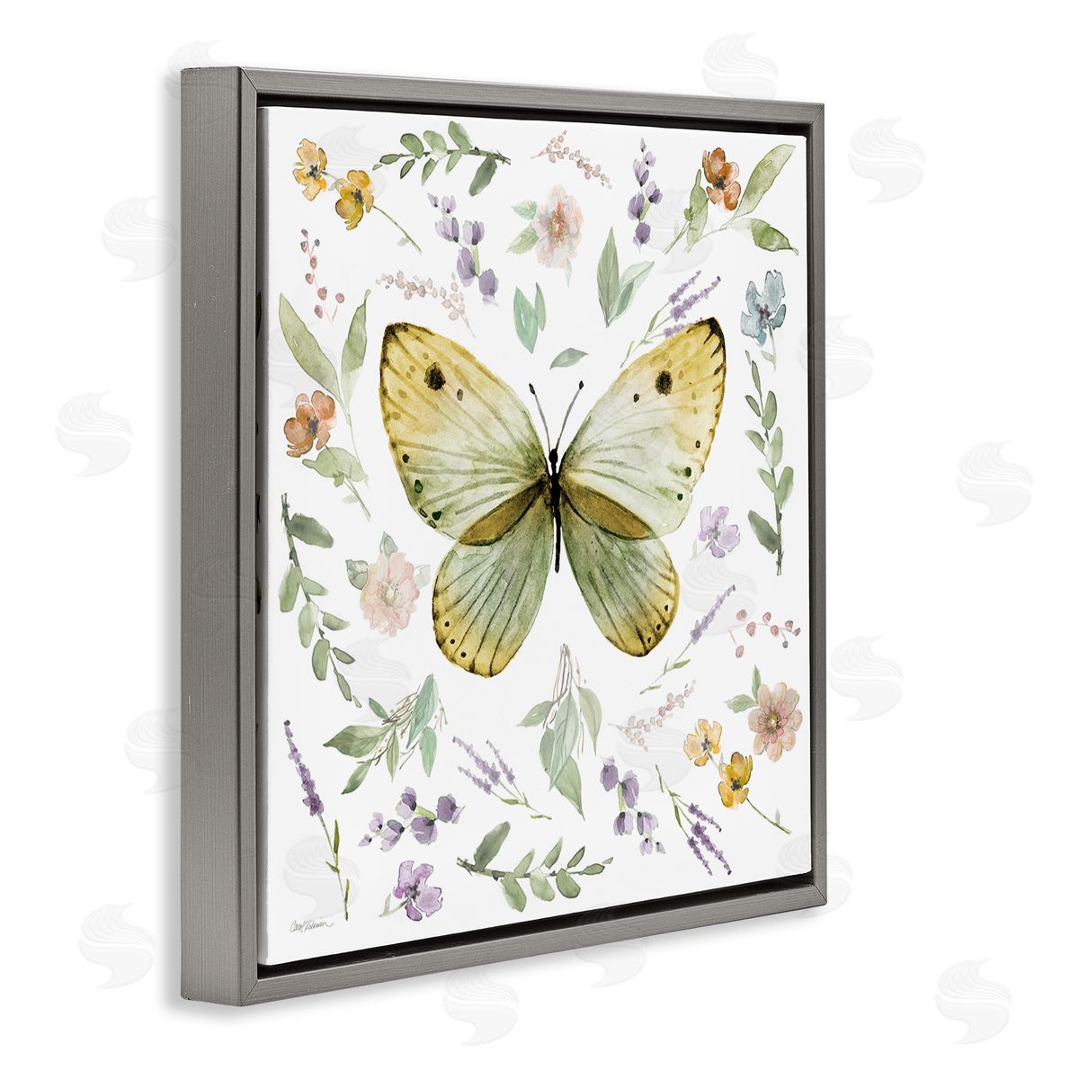 Carol Robinson Chic Cottage Butterfly Gray Floating Frame Canvas Wall Art Print