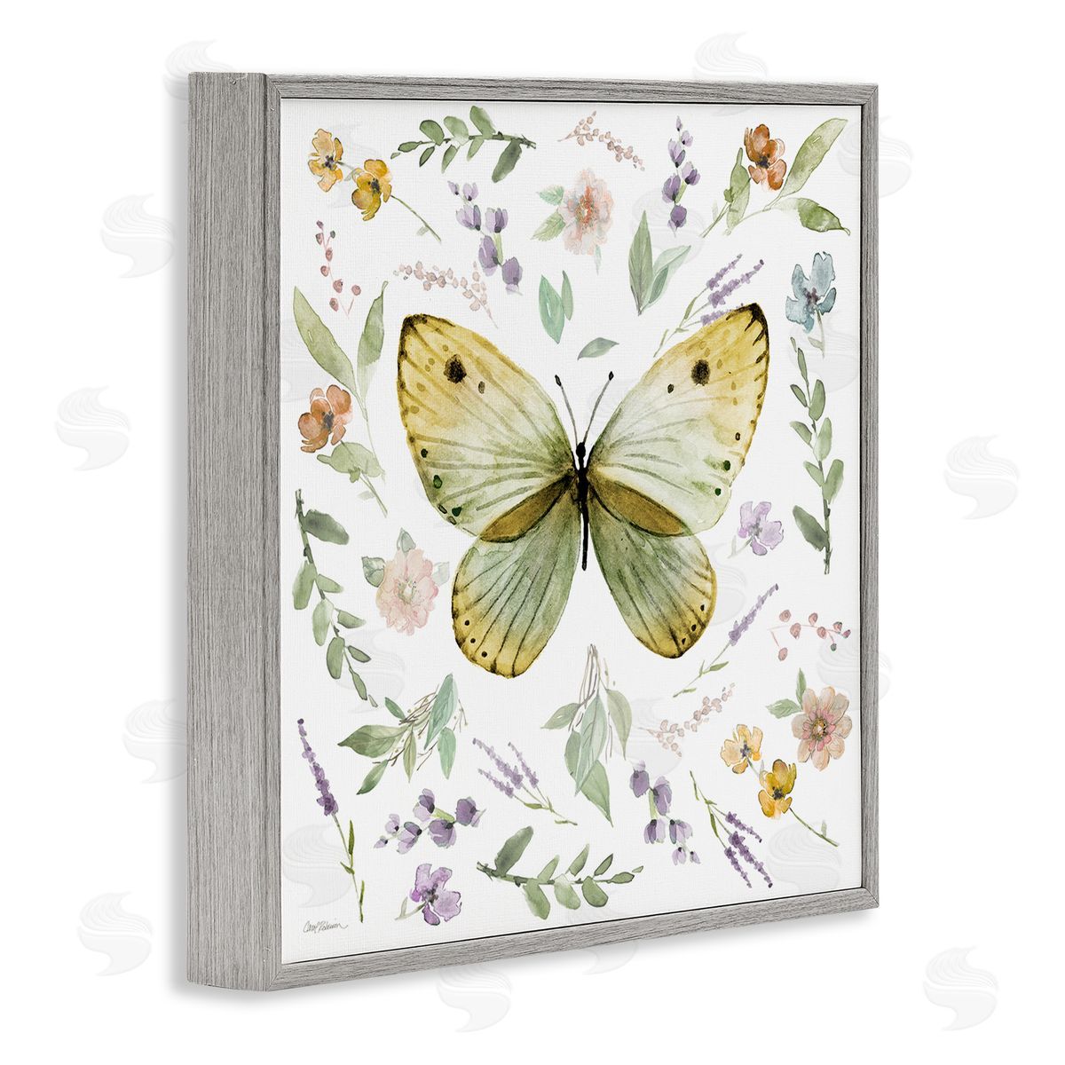 Carol Robinson Chic Cottage Butterfly Gray Framed Giclee Wall Art Print