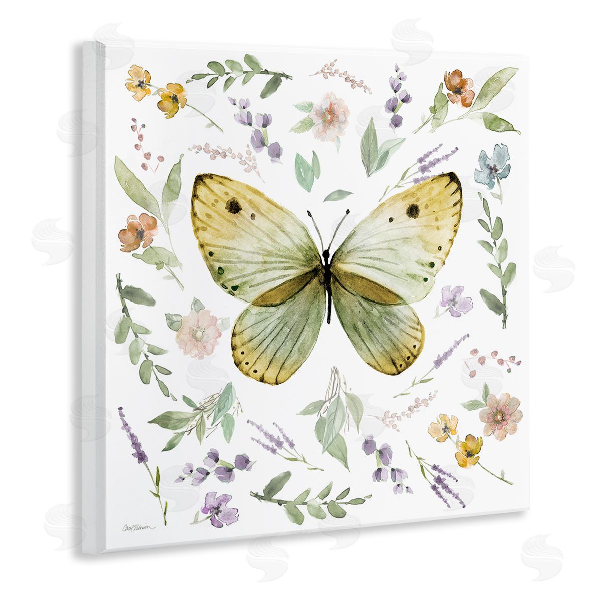 Carol Robinson Chic Cottage Butterfly Wooden Wall Plaque Art Print