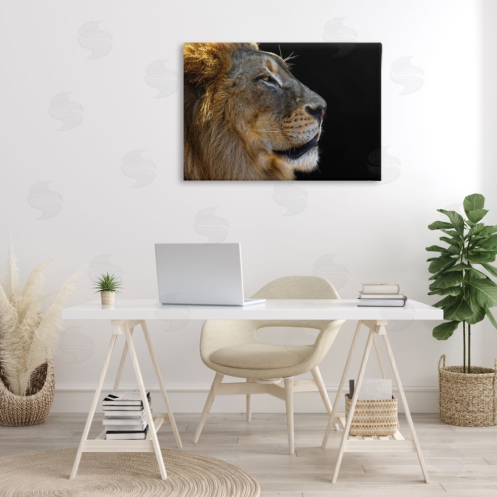 Danita Delimont Fierce Lion Looking Right Canvas Wall Art Print in Room