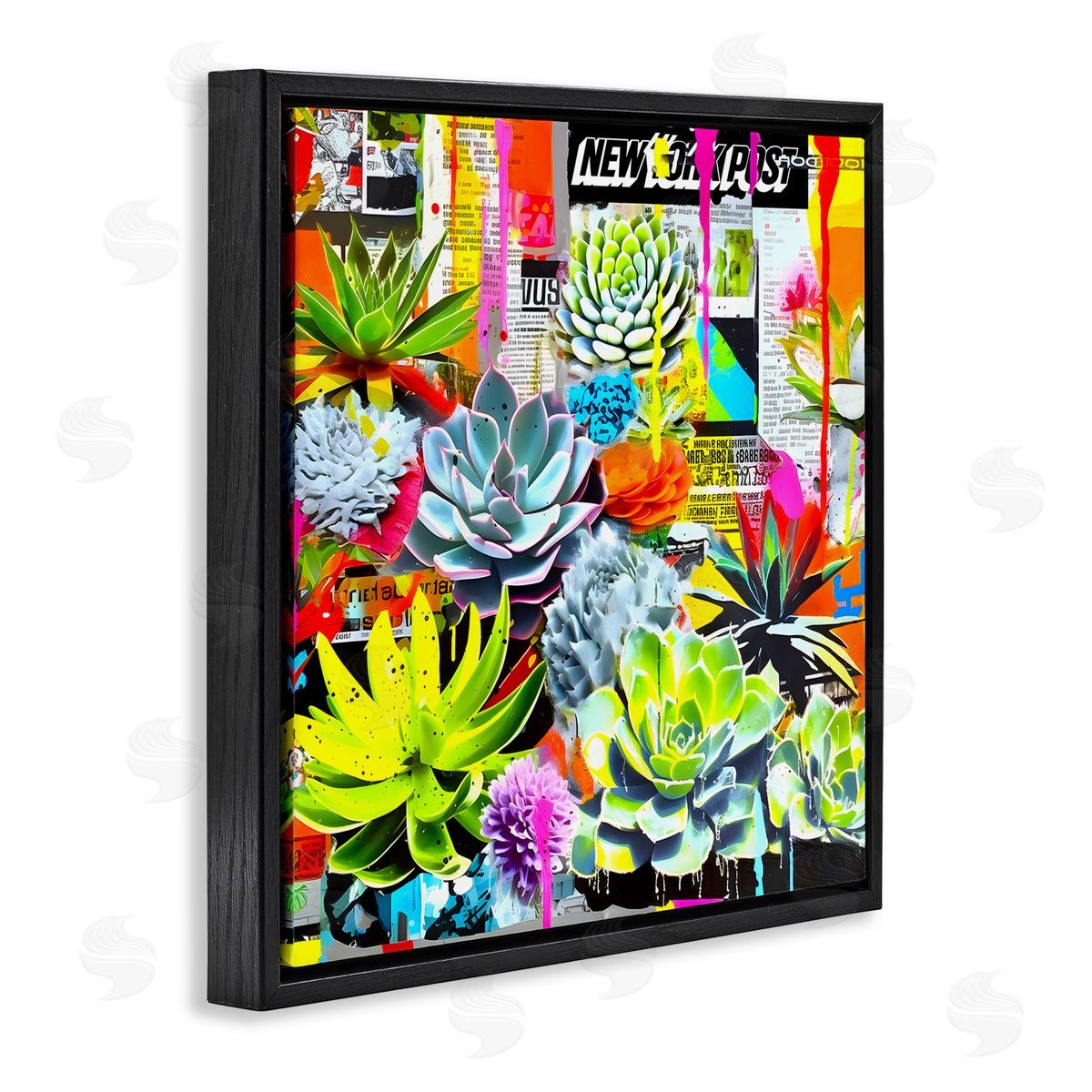 Jess Stempel Urban Graffiti Succulents Black Floating Frame Canvas Wall Art Print