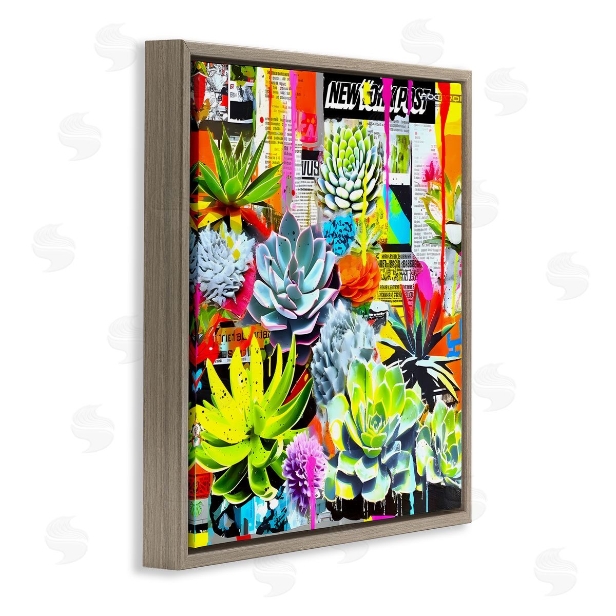 Jess Stempel Urban Graffiti Succulents Brown Floating Frame Canvas Wall Art Print