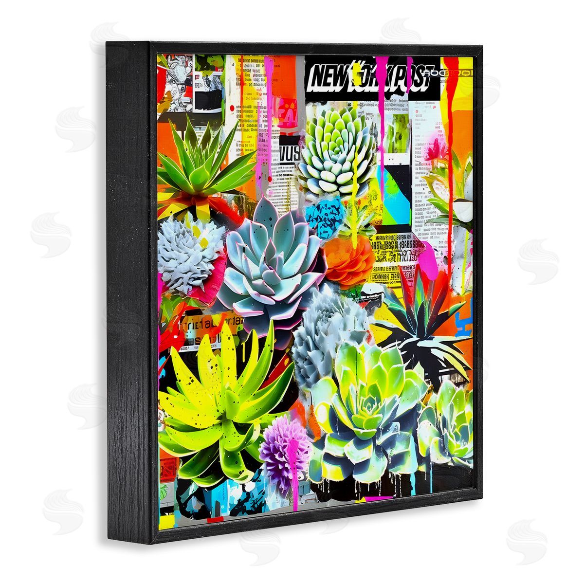 Jess Stempel Urban Graffiti Succulents Black Framed Giclee Wall Art Print