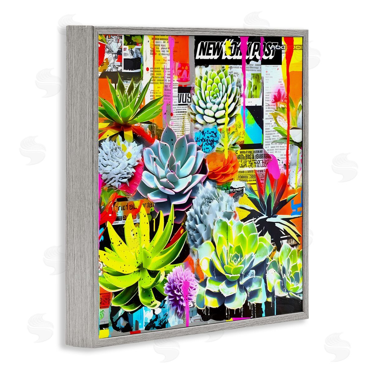 Jess Stempel Urban Graffiti Succulents Gray Framed Giclee Wall Art Print