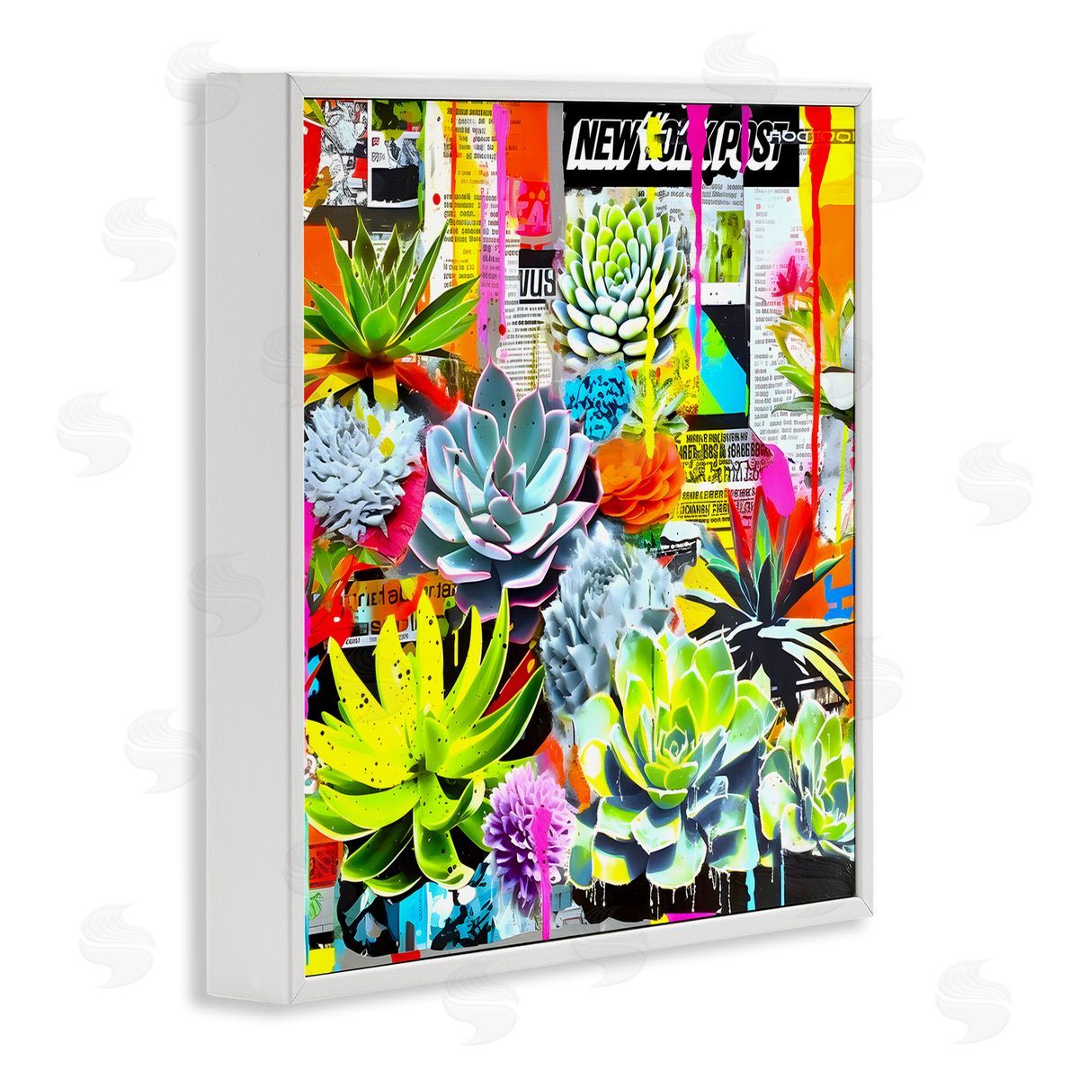 Jess Stempel Urban Graffiti Succulents White Framed Giclee Wall Art Print