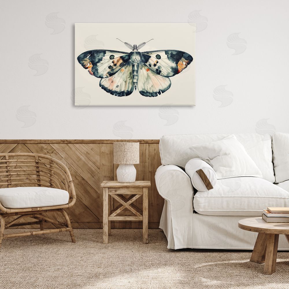Petal Prints Design Watercolor Black Trimmed Moth Canvas Wall Art Print in Room