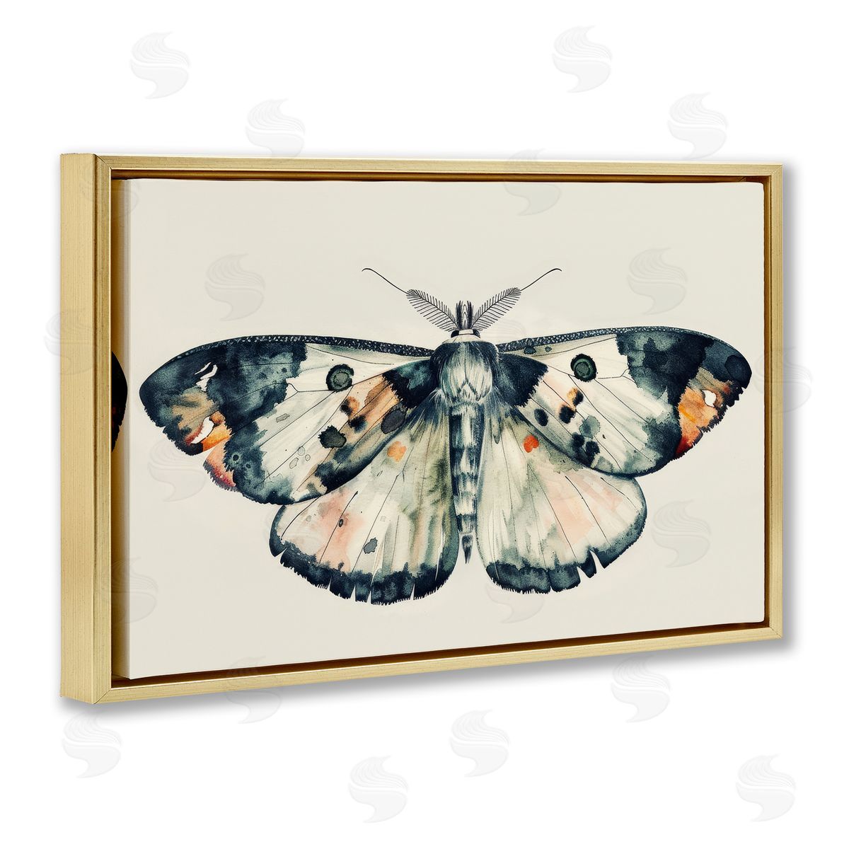 Petal Prints Design Watercolor Black Trimmed Moth Gold Floating Frame Canvas Wall Art Print
