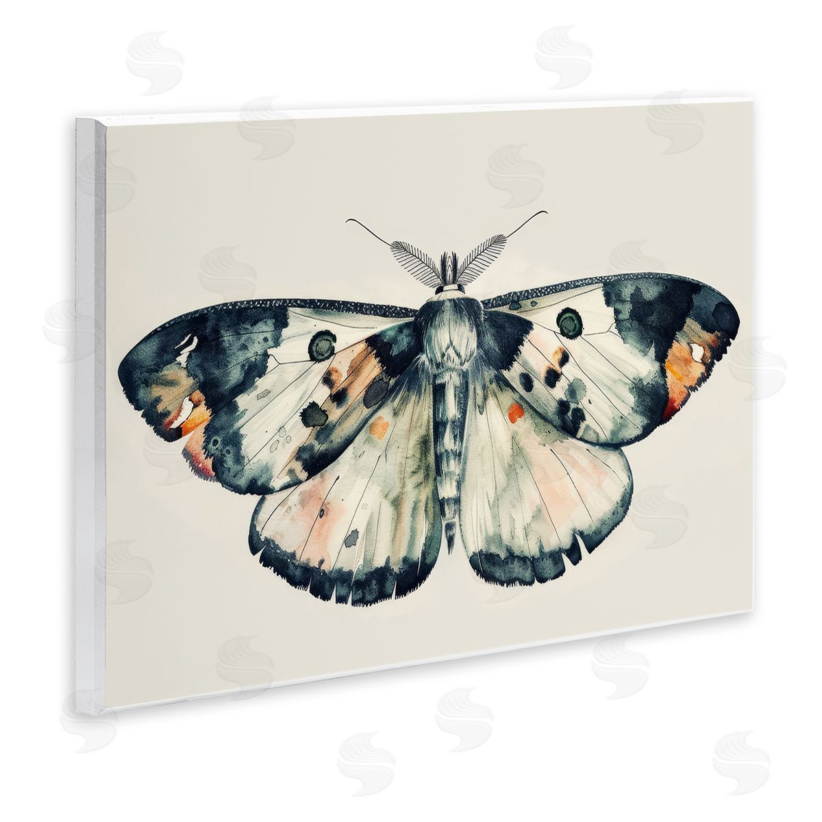 Petal Prints Design Watercolor Black Trimmed Moth Wooden Wall Plaque Art Print
