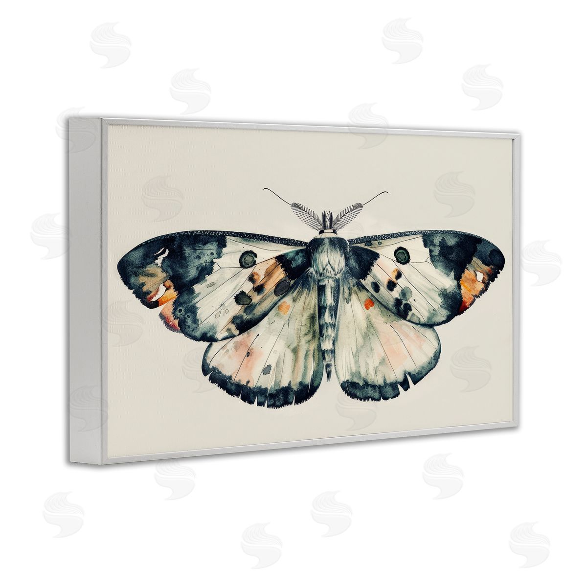 Petal Prints Design Watercolor Black Trimmed Moth White Framed Giclee Wall Art Print